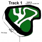 T 1